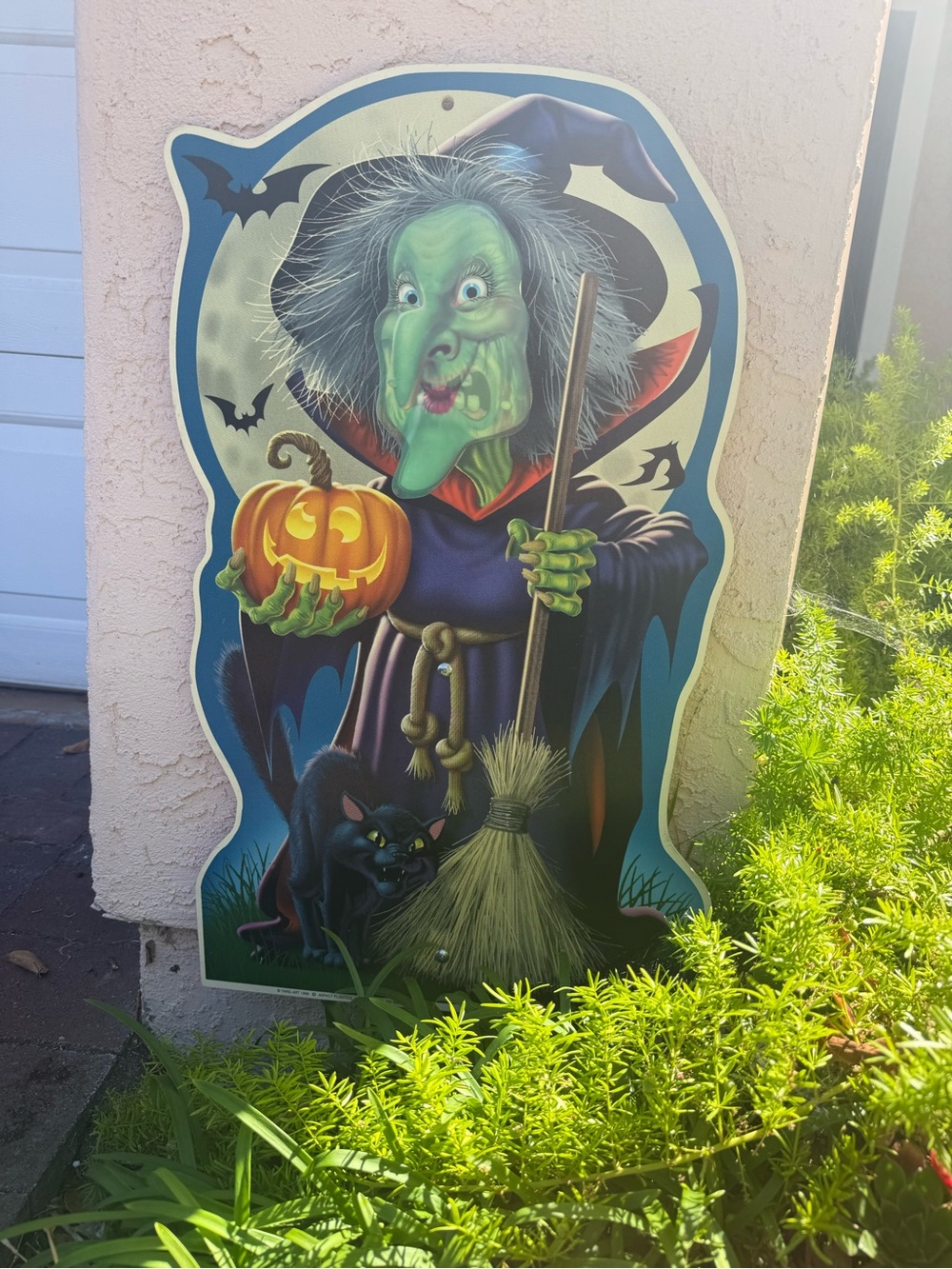 Green Witch Halloween Wall Décor - Festive Witch with Pumpkin